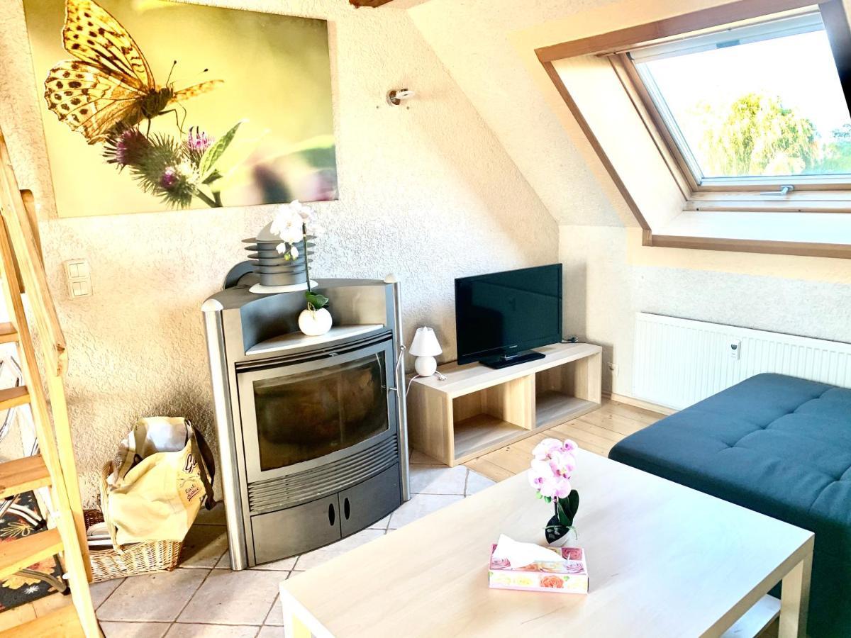 #World Ferienwohnung Schkeuditz Zewnętrze zdjęcie